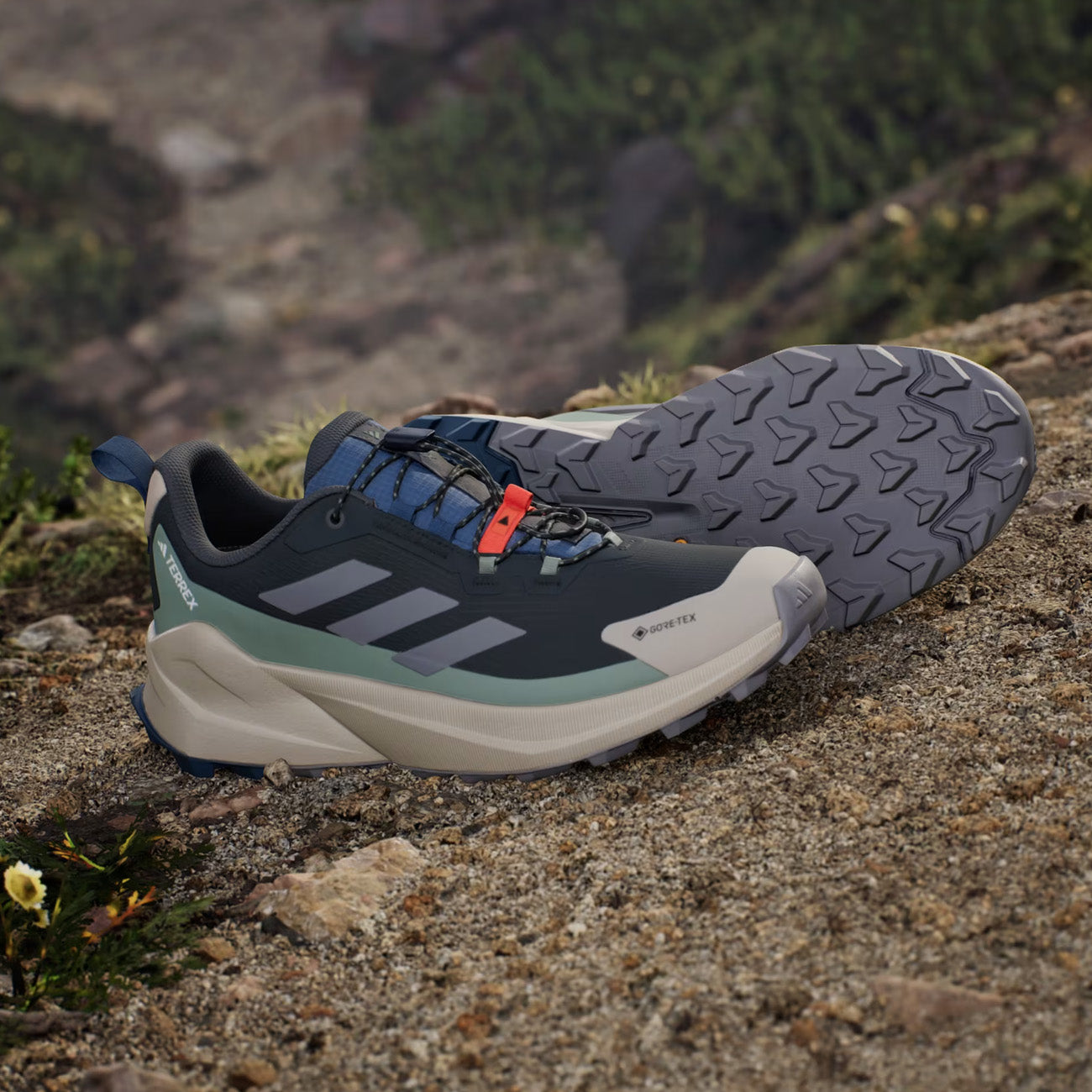 adidas Terrex Trailmaker 2 GTX Herren Carbon Grey Silver