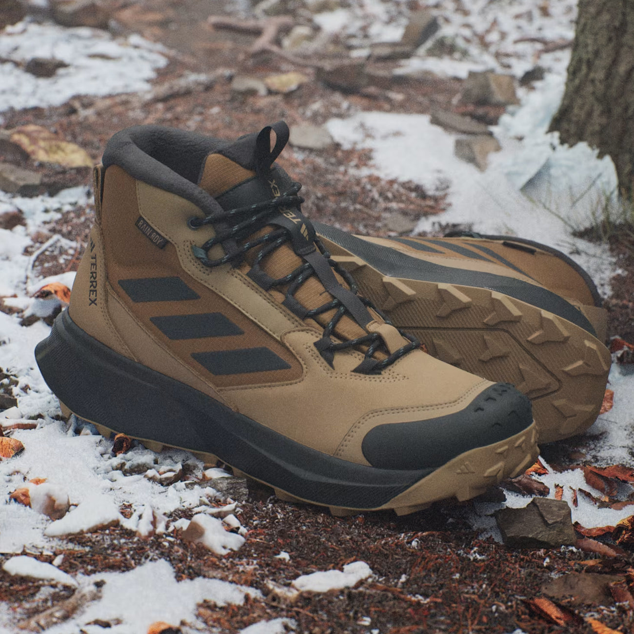 adidas Terrex Winter Boot Herren Cardboard Carbon Bronze Strata