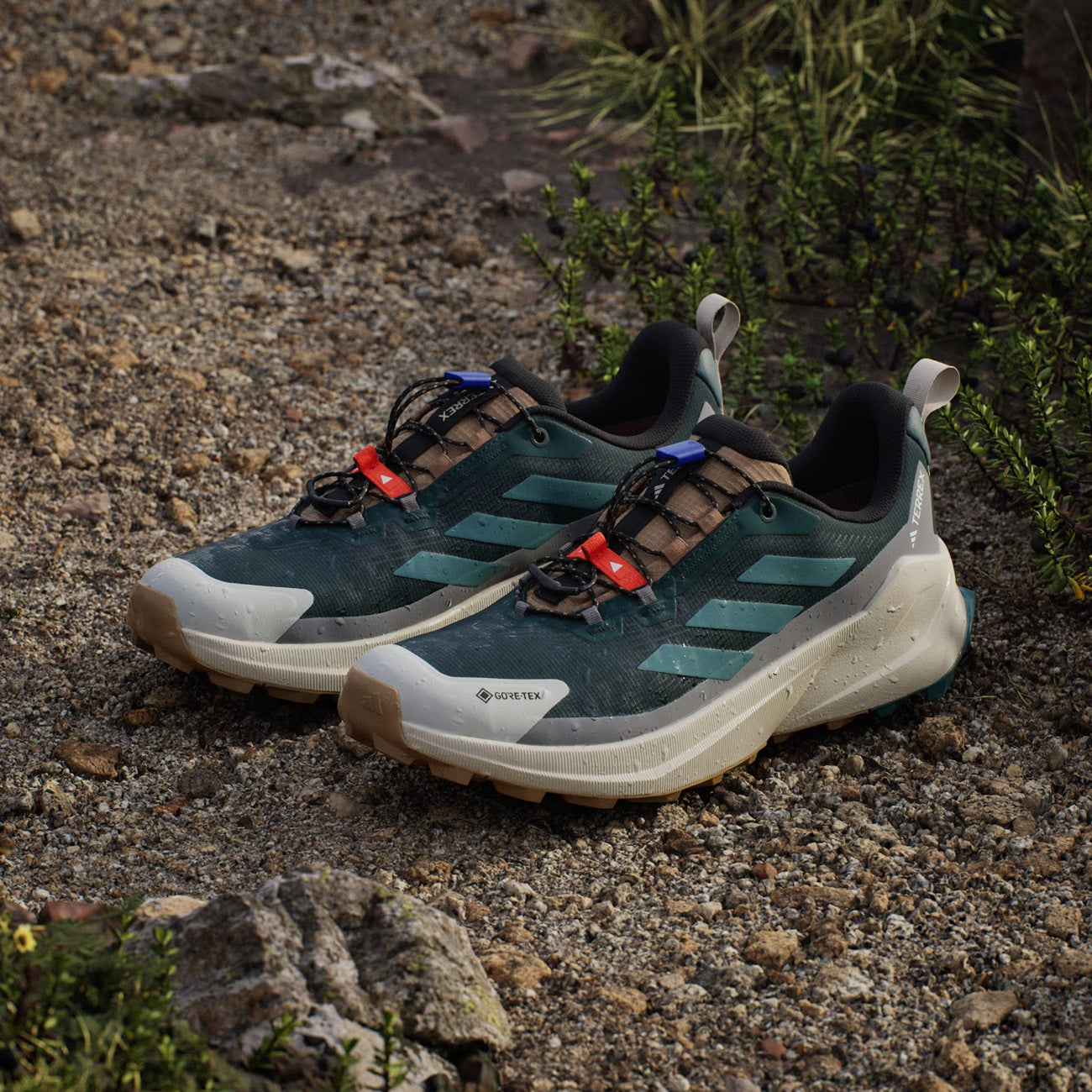 adidas Terrex Trailmaker 2 GTX Herren Aurora Ivy Teal Grey