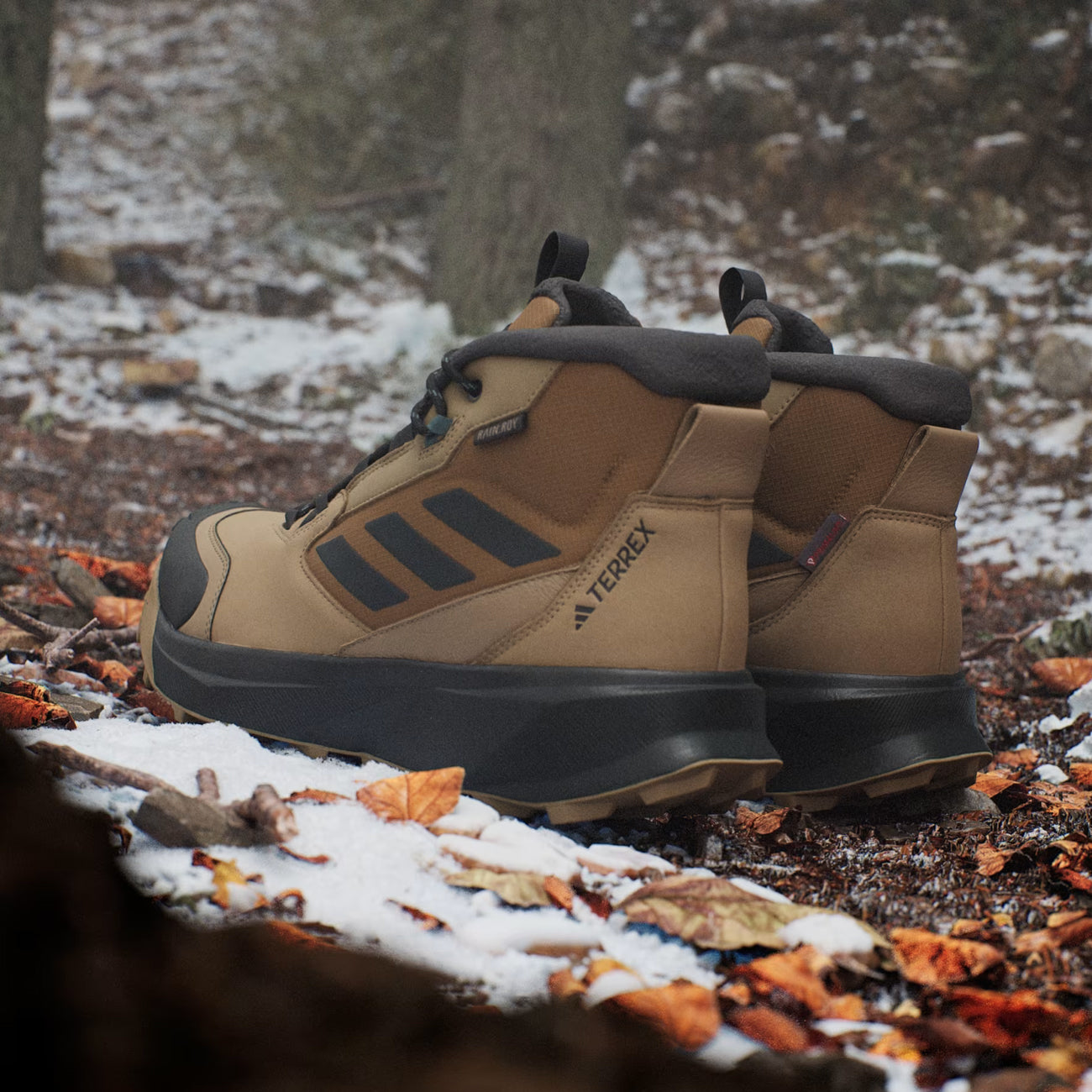 adidas Terrex Winter Boot Herren Cardboard Carbon Bronze Strata