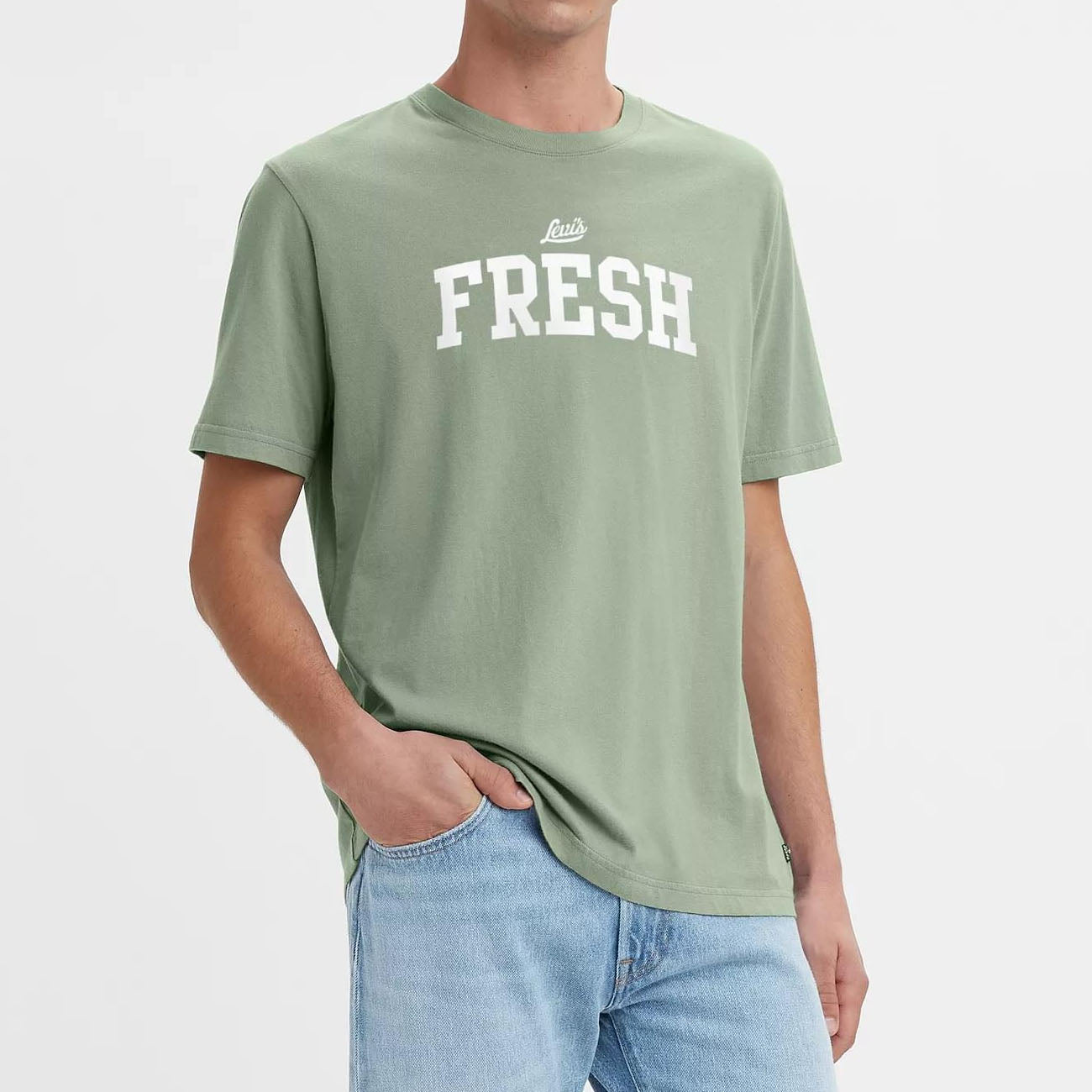 Levi's SS Relaxed Fit Tee Herren Stay Fresh Natural Green