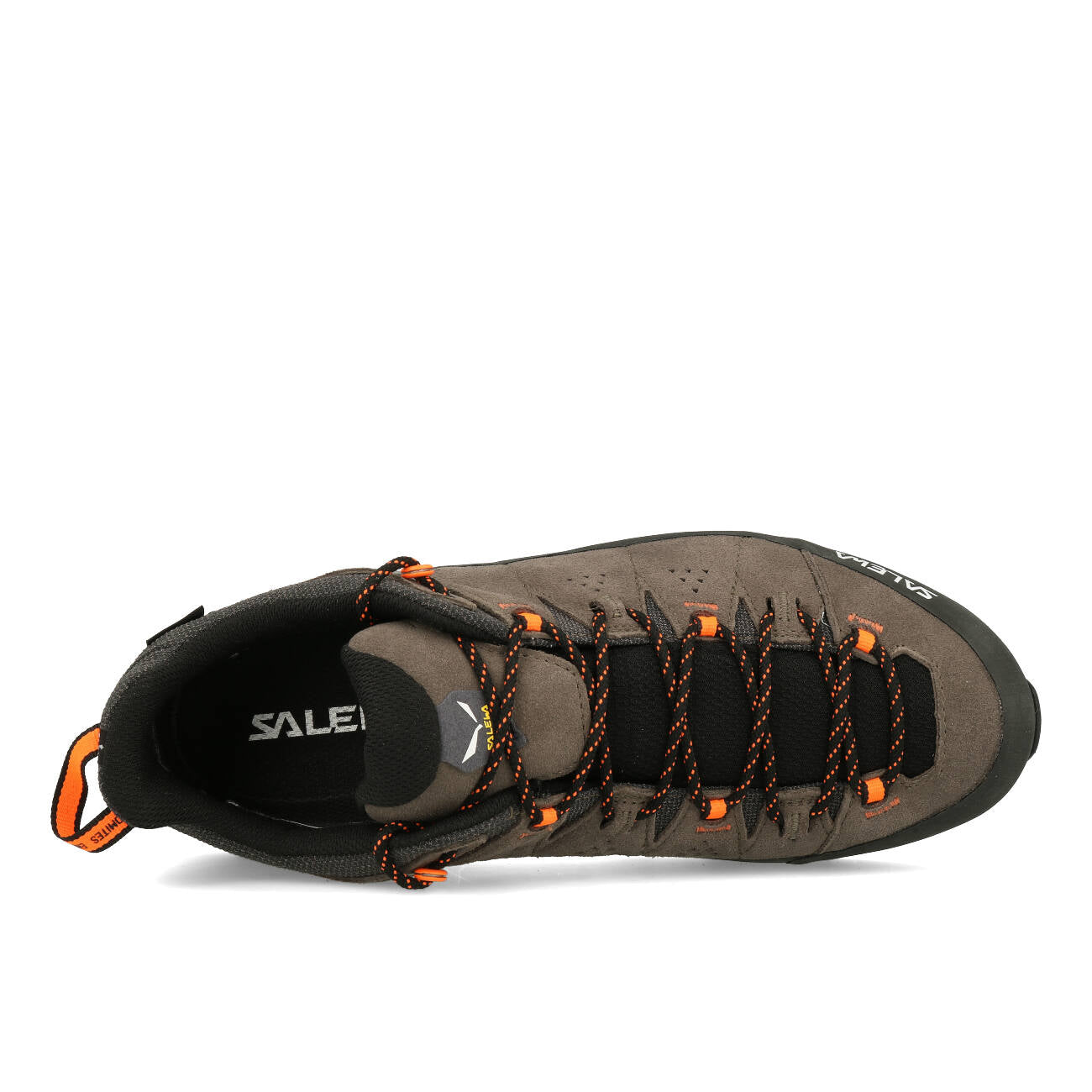 Salewa ALP Trainer 2 GTX Herren Bungee Cord Black